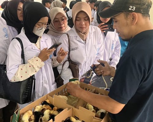 Experiential Learning Fakultas Peternakan UNS Bersama Medion Indonesia